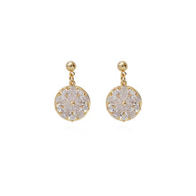 Load image into Gallery viewer, Diamante Round Earrings