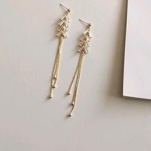 Load image into Gallery viewer, Diamante Tassel Long Earrings