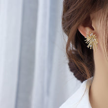 Load image into Gallery viewer, 14K Gold Plated Zircon Firework Shape Ear Studs Earrings