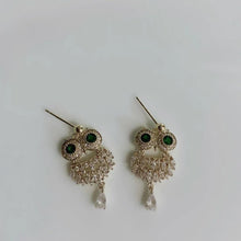 Load image into Gallery viewer, Fashion Owl 14K Gold Plated Zircon Drop Earrings