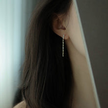 Load image into Gallery viewer, Zircon Chain Tassel Earrings