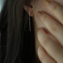 Load image into Gallery viewer, Zircon Chain Tassel Earrings