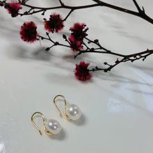 Load image into Gallery viewer, Classic Freshwater Drop Pearl Fish Hook Earrings
