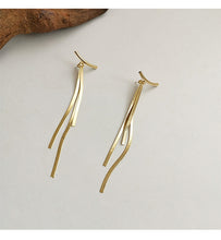 Load image into Gallery viewer, Gold Plated Snake Chain Tassel Earrings
